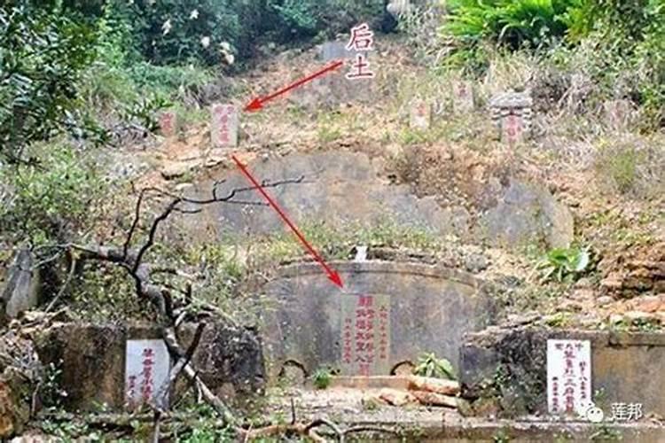 怎样看墓地风水 应该怎样看墓地风水