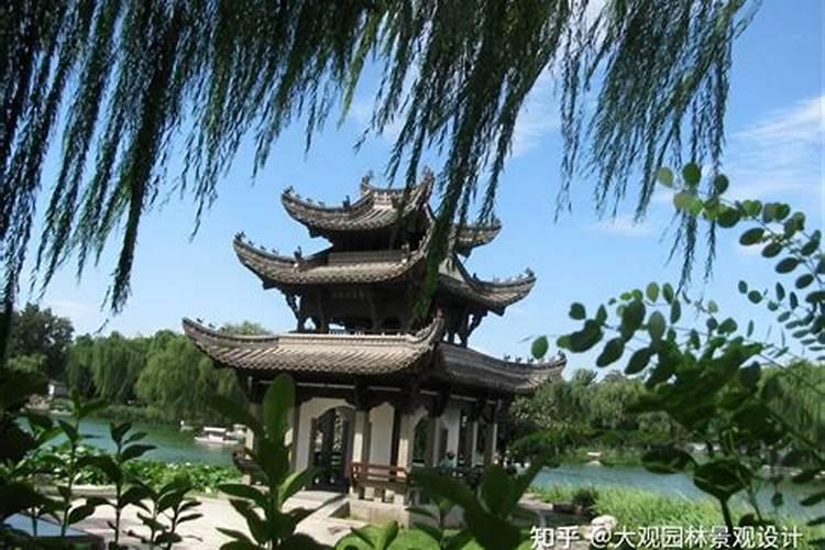办公楼大门口种什么树能旺财 办公楼大门口种哪种树能旺财