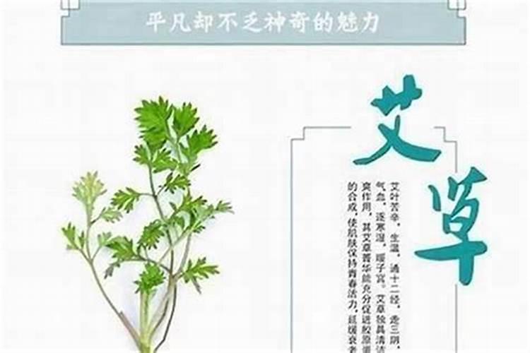属猪住哪个楼层好