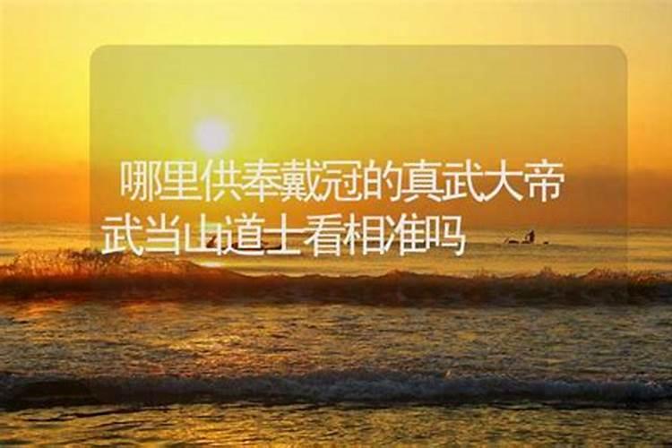武当山武院陈逵大师