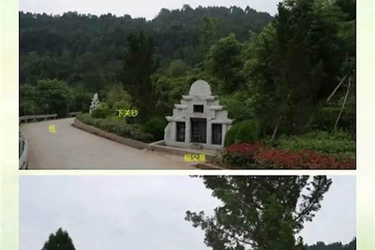 六爻如何测财运,王虎应六爻测年运