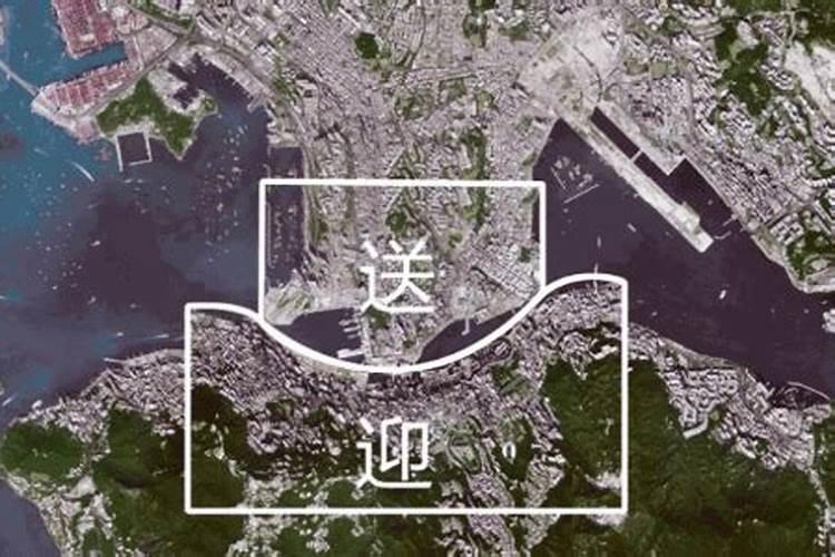 小口罐子适合养什么花