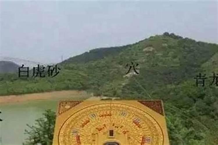 别墅住宅院子里种什么植物风水好