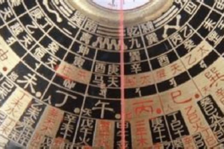 公司大门口栽什么树好风水