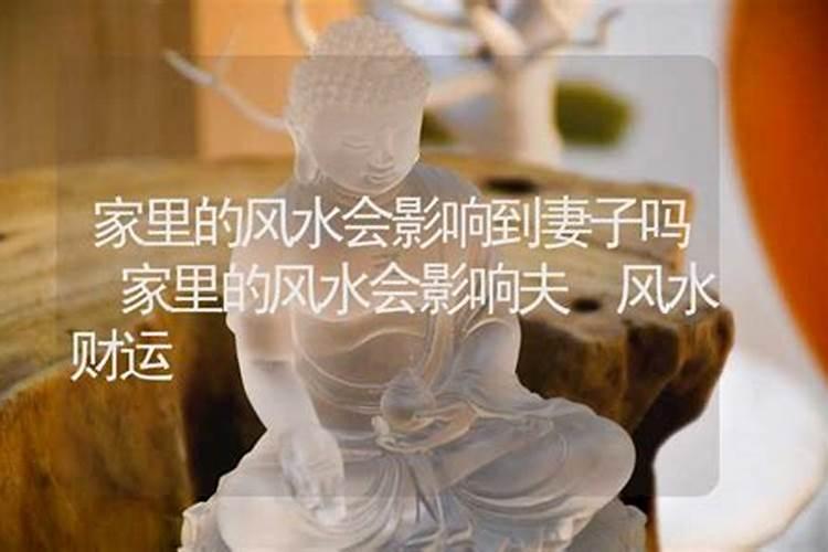 哪个大学有建筑风水学