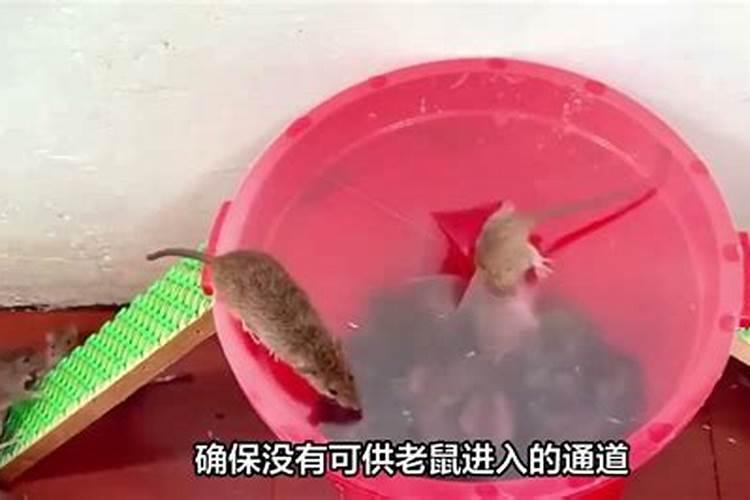 别墅院子的西南放个储藏室风水好吗？
