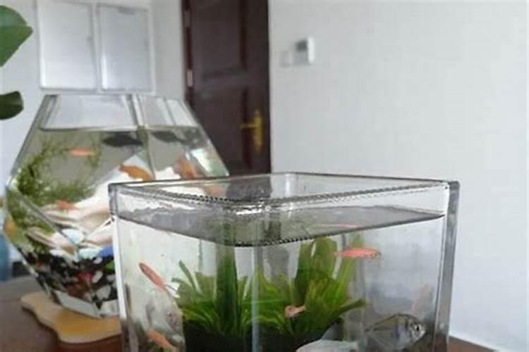 如何看阳宅风水