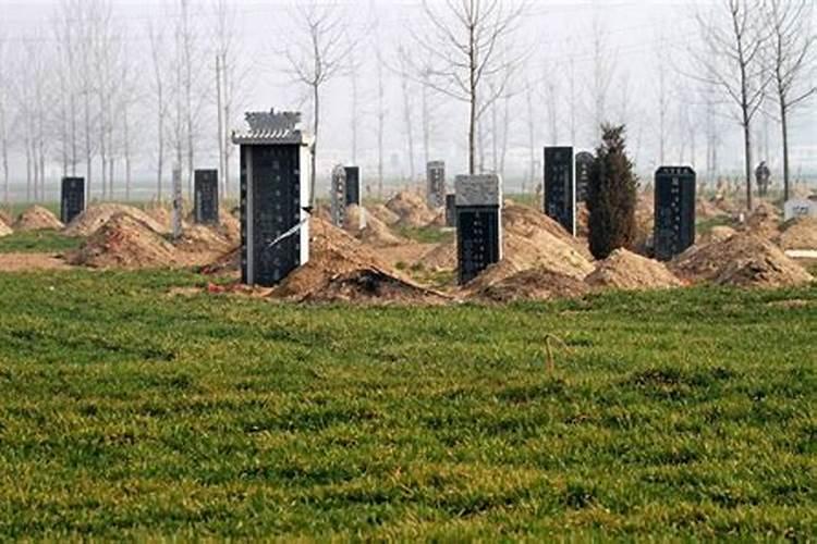 坟地里埋什么旺后人坟地里埋什么可以旺家