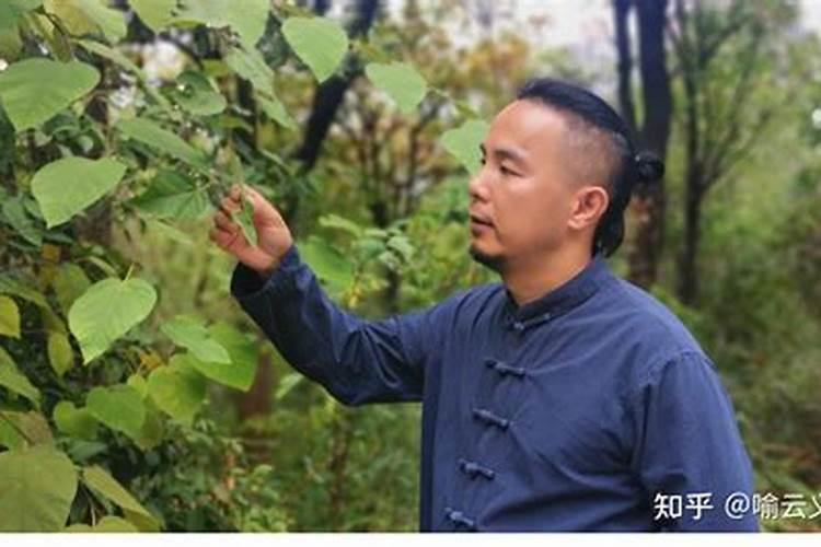 遂宁市的射洪县与南充市的阆中市哪个更发达？