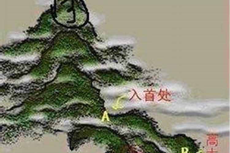 风水什么龙入首吉 什么龙入首凶？