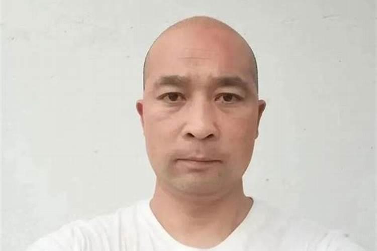 柳文化作文1000字