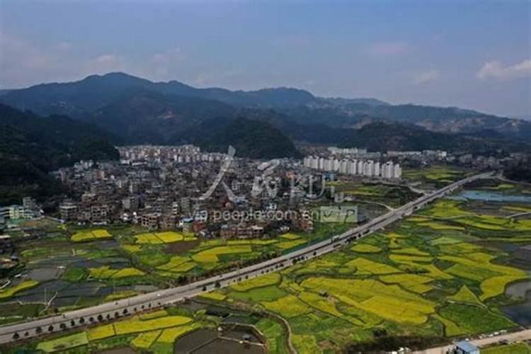 陈黄皮叶红鱼免费阅读全文什么小说