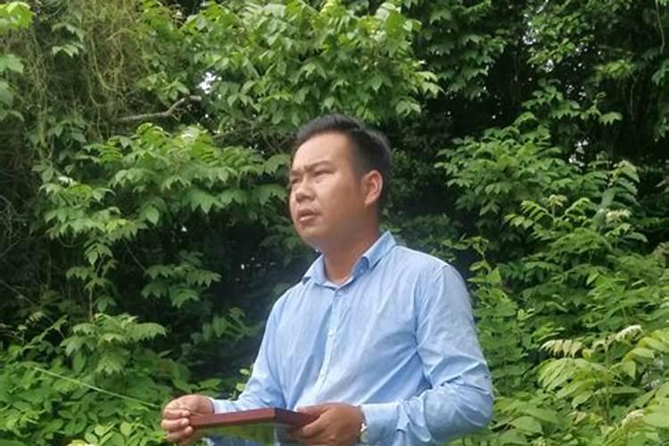 仙人球在风水
