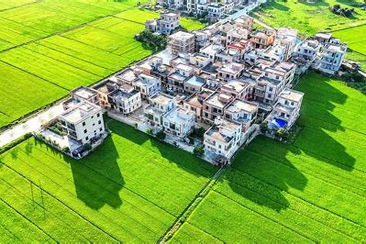 广东廉江市营仔首富是谁