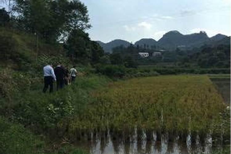 四川哪里有没有比较有水平的风水大师