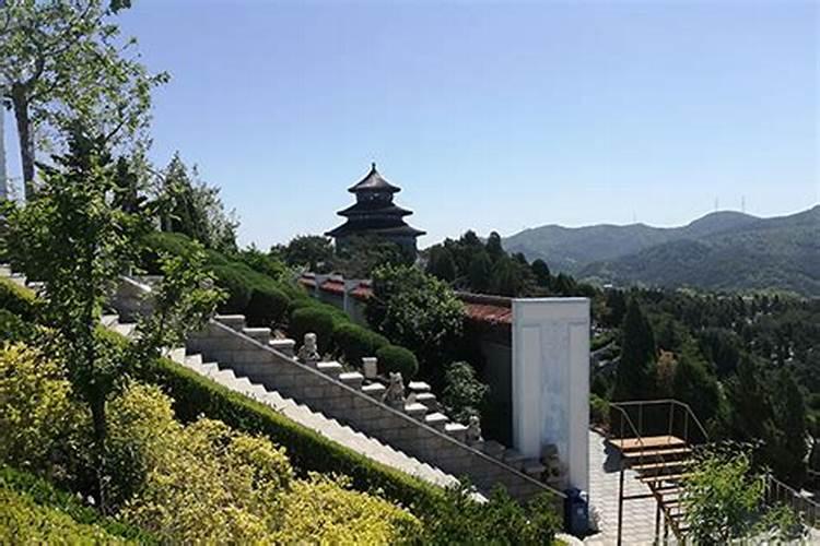 为什么刘昊然和彭昱畅在豆瓣的风评差别那么大？