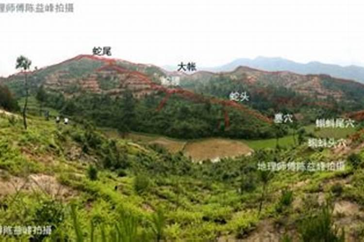 寻求风水高人或资料