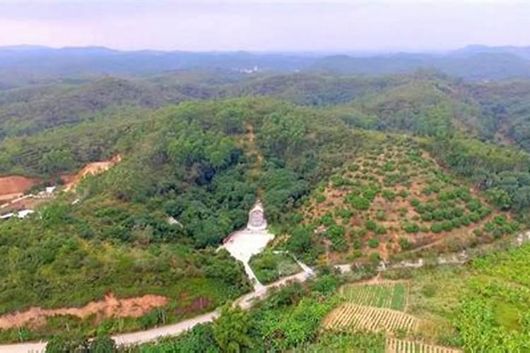 高州第一坟为什么被炸