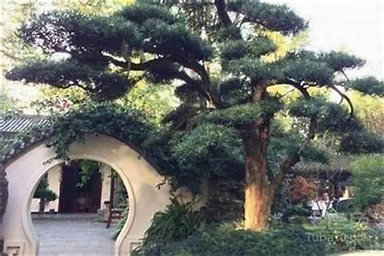 新人买房是很重要的事情,那么买婚房选择新房还是二手房呢？
