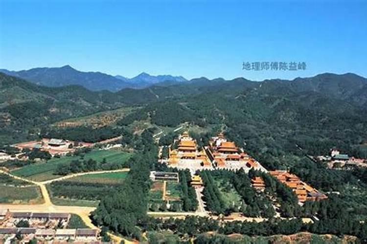 乌鸦集群遮日3天,清朝生下一个女婴,意味着什么呢？