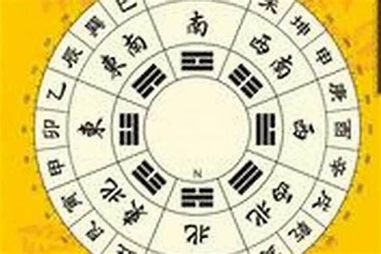 酒店风水不好有什么表现,大堂放带刺植物招晦气