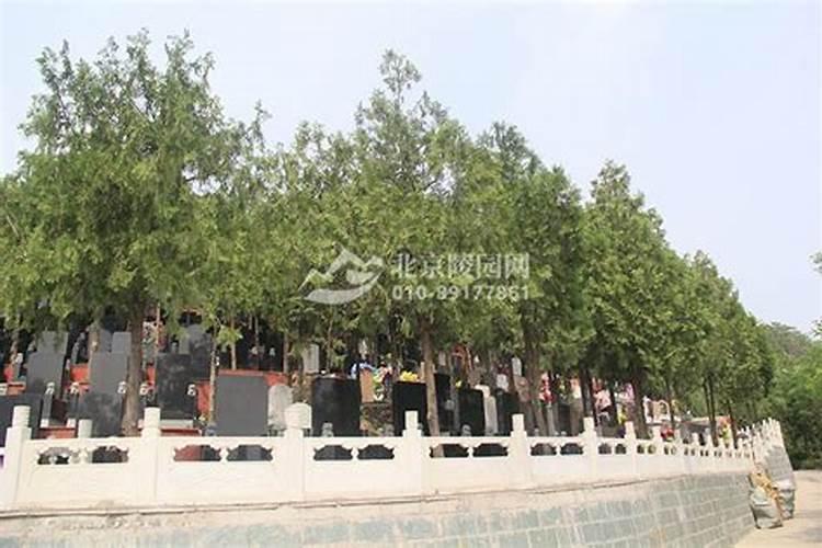 风水宝地齐聚广西,广西最好祖坟风水宝地在哪？