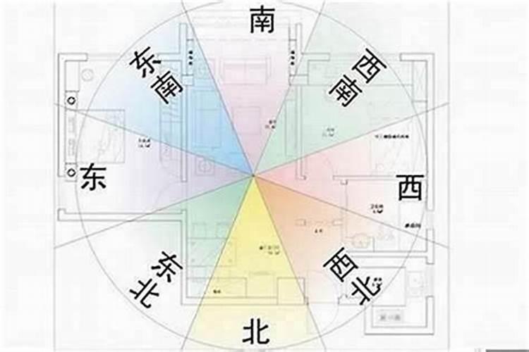 石家庄的鸡窝一般都建在哪些地方？