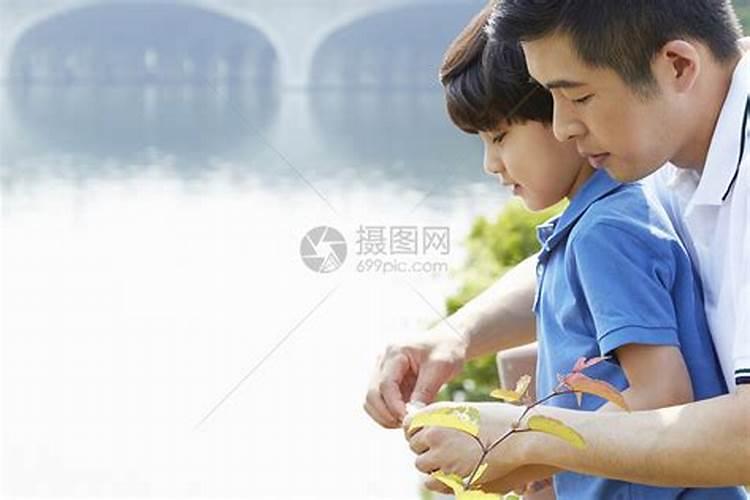 新中式风格客厅挂什么画风水好