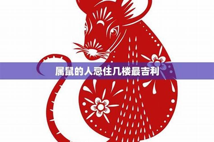 北京故宫的风水布局是如何体现中国古代宇宙哲学思想的？