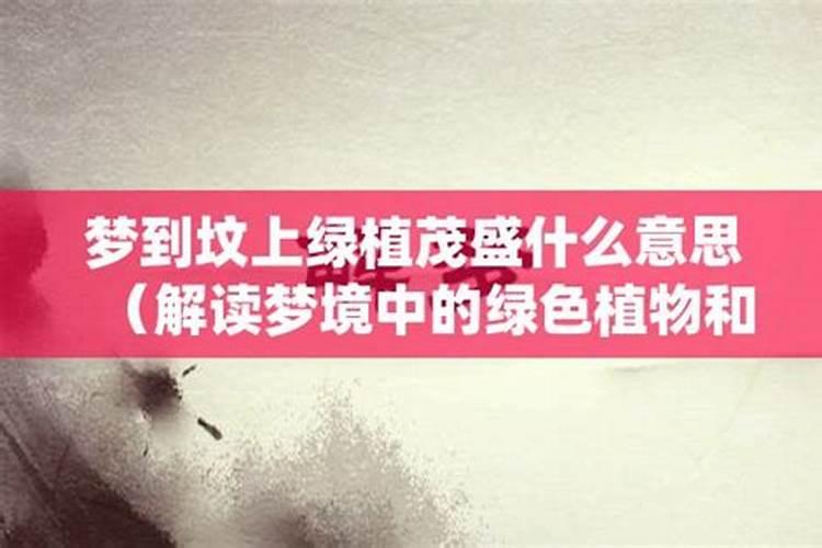 梦见坟墓风水好
