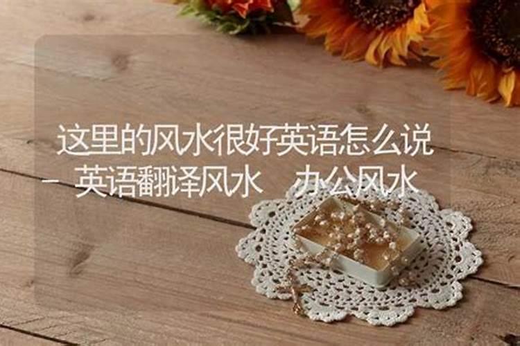 蔡甸区有什么景点
