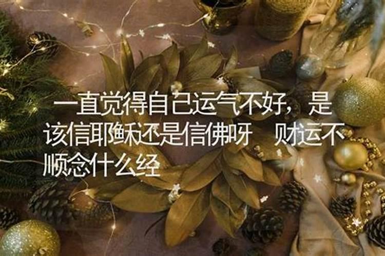 纪兴恩个人简介
