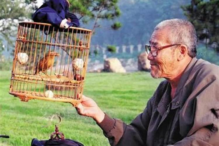 在抚州请一个风水师看一下墓地要多少钱？