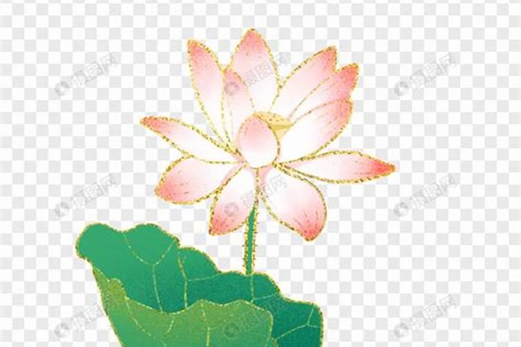 洪英伦是洪秀全什么关系