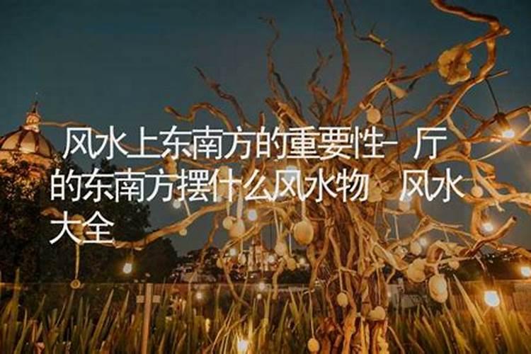 客厅东南角摆放什么好 放什么旺财？