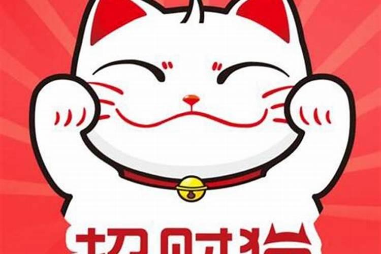 猫进店铺到底吉不吉利