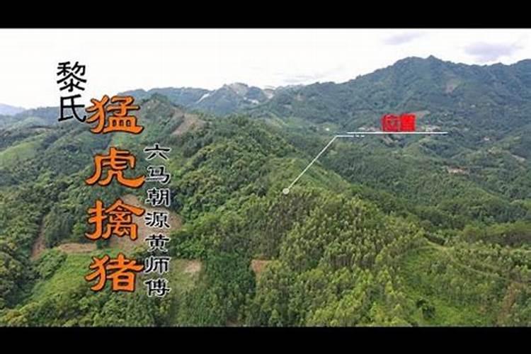 招财的风水禁忌都有哪些呢？