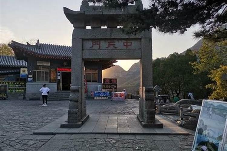 庭院养什么花最好风水最旺