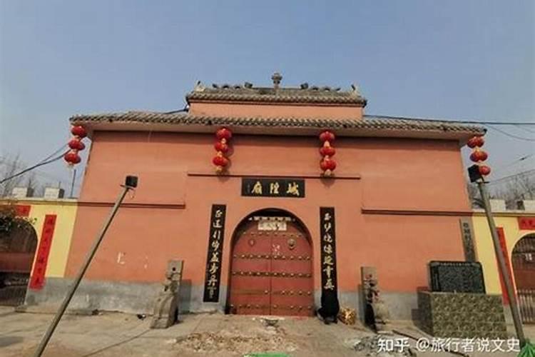 在家什么方位放什么花旺财家里的花养在哪个位置最旺运