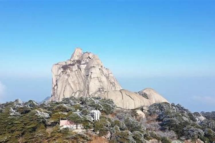 墓地后方两米有一棵很大的核桃树好不好？