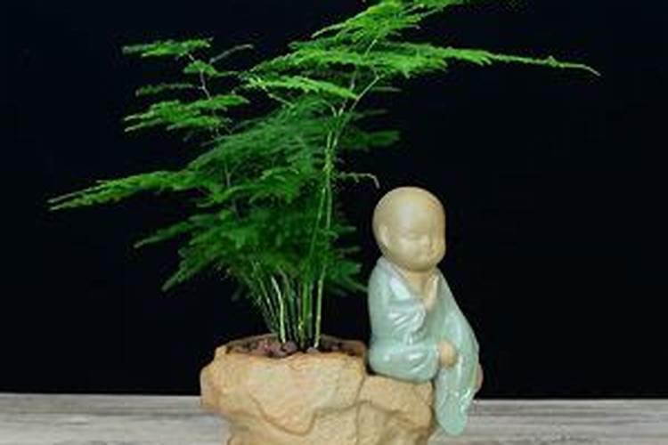 客厅的颜色风水有哪些