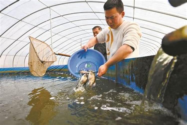 房前屋后风水禁忌,明堂不可有凶相
