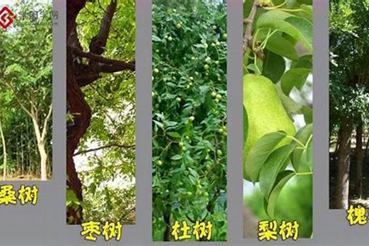 我家住房小,菩萨摆放在卧室大衣橱顶柜上可以不
