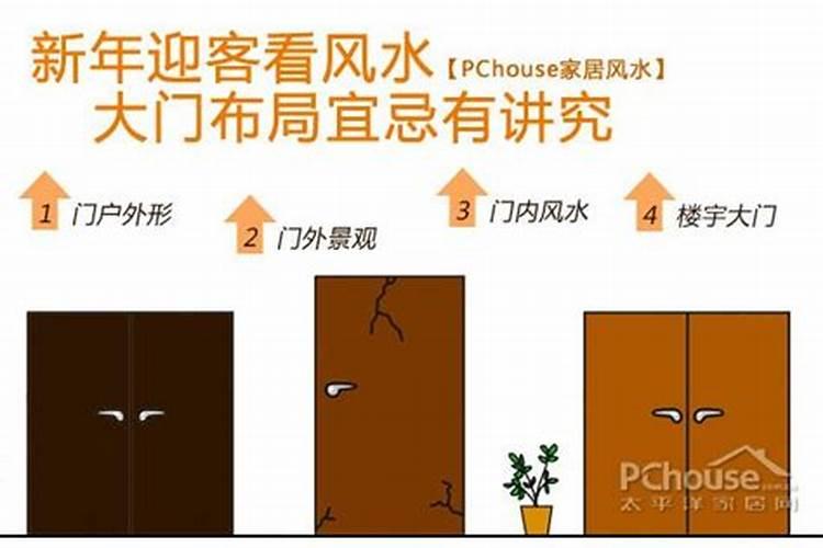 乌龟可以摆放在哪些位置？