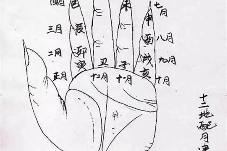 屋后种松树风水好不好？