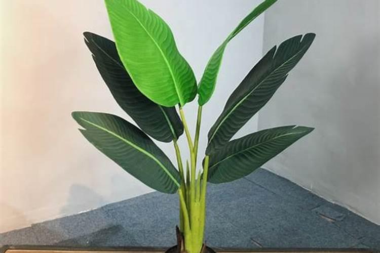 建筑风水学解释