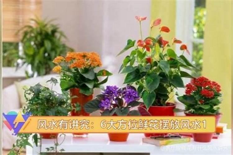农村房子安装大门要说什么好话