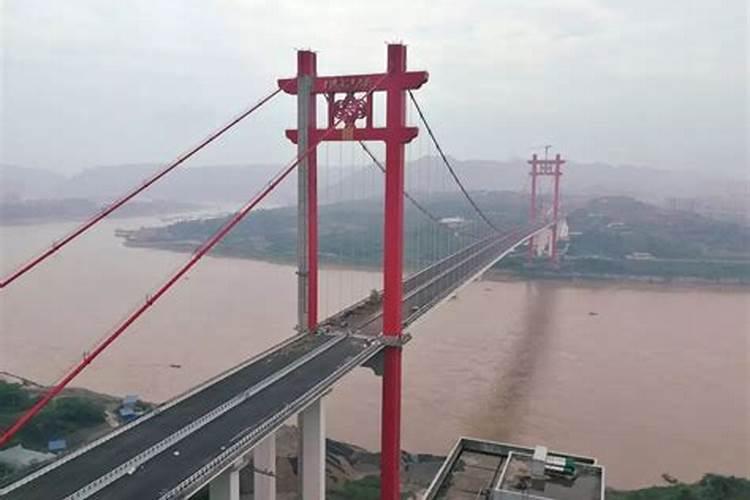 小别墅院子种什么树好