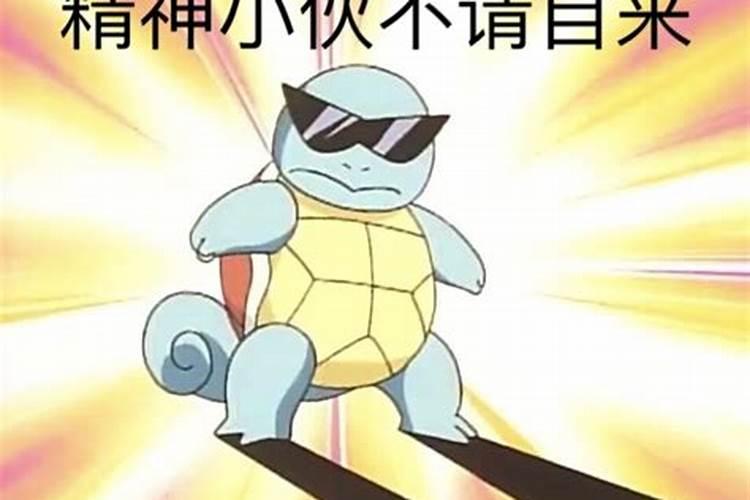 风水大师说猫来家好不