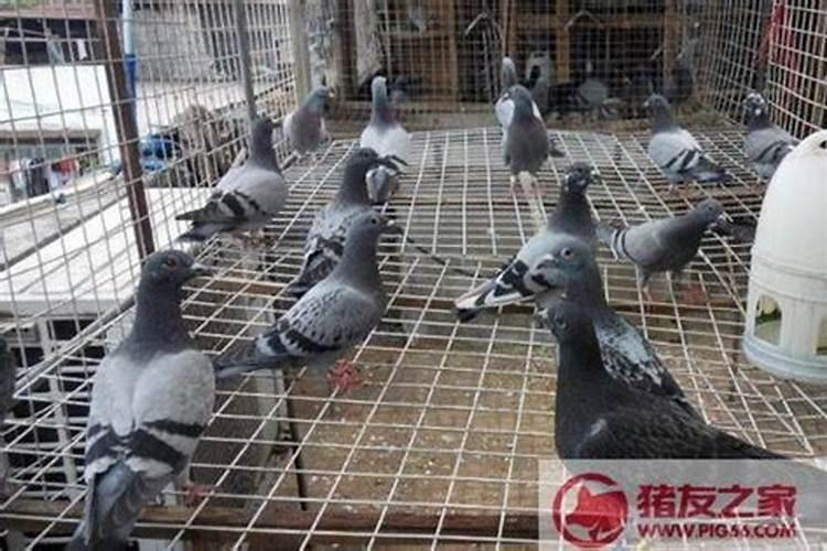 风水学哪些书籍好